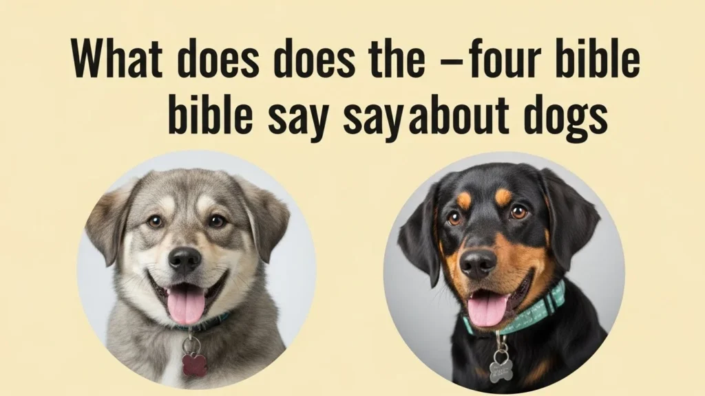 what does the bible say about dogs